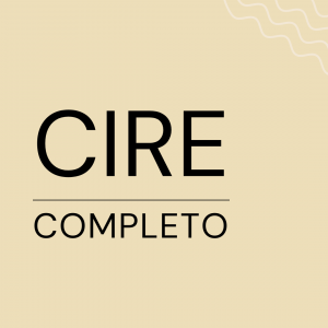 Curso completo. (Descuento 150€ aplicado hasta el 30 de junio).